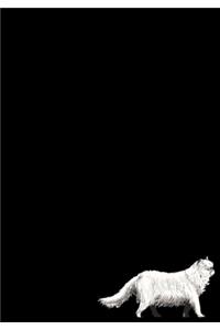 Persian Cat Journal