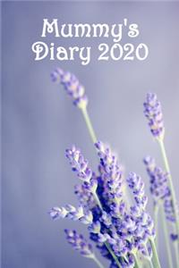 Mummy's Diary
