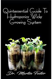 Quintessential Guide To Hydroponics Wicks Growing System