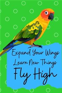 Expand Your Wings Learn New Things Fly High