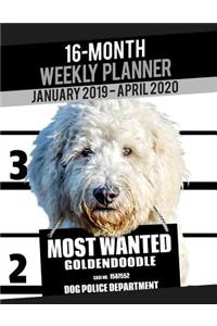 2019-2020 Weekly Planner - Most Wanted Goldendoodle (Golden Retriever Poodle)