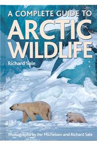 A Complete Guide to Arctic Wildlife