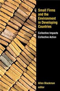 Small Firms and the Environment in Developing Countries