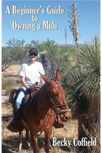 Beginner's Guide to Owning a Mule