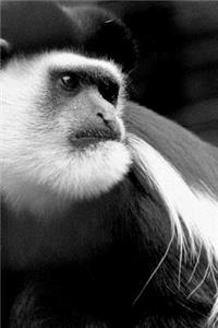 Monkeys Notebook