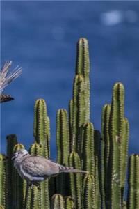 Pigeons On Cactus Notebook