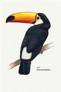 Toucan