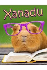 Xanadu