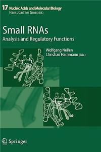 Small RNAs: