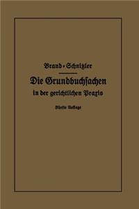 Die Grundbuchsachen in Der Gerichtlichen PRAXIS