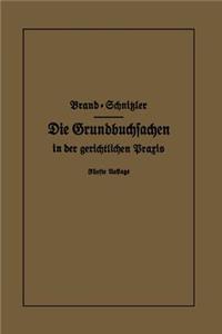 Die Grundbuchsachen in Der Gerichtlichen Praxis