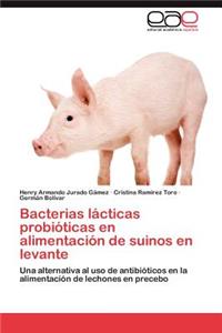 Bacterias lácticas probióticas en alimentación de suinos en levante