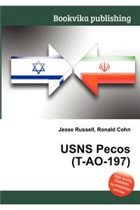 Usns Pecos (T-Ao-197)