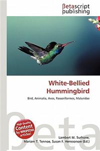 White-Bellied Hummingbird