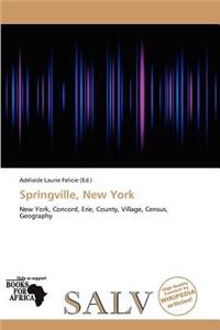 Springville, New York