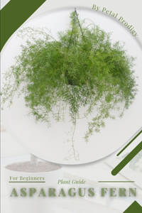 Asparagus Fern