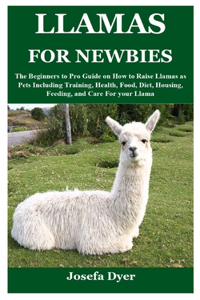 Llamas for Newbies