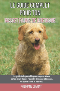 Le guide complet pour ton Basset Fauve De Bretagne