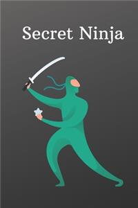Secret Ninja