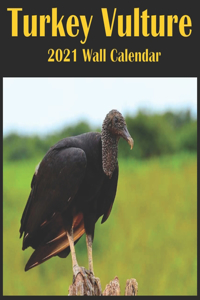 Turkey Vulture 2021 Wall Calendar