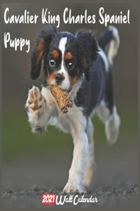 Cavalier King Charles Spaniel Puppy 2021 Wall Calendar