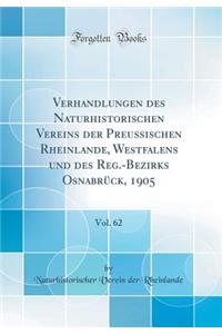 Verhandlungen des Naturhistorischen Vereins der Preussischen Rheinlande, Westfalens und des Reg.-Bezirks Osnabrück, 1905, Vol. 62 (Classic Reprint)