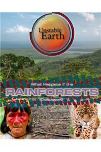 What Happens If the Rainforests Disappear?