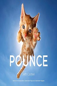 Pounce