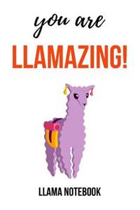 You Are Llamazing!
