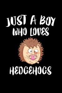 Just A Boy Who Loves Hedgehogs