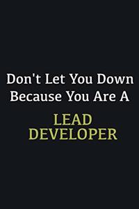 Don't let you down because you are a Lead developer