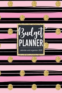 Budget Planner Calendar and Organizer 2020