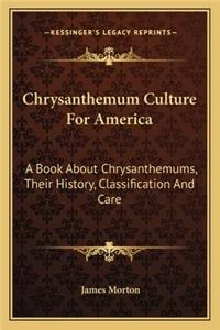 Chrysanthemum Culture For America