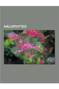 Halophytes: Abronia Maritima, Agropyron Pungens, Allenrolfea, Atriplex, Atriplex Argentea, Atriplex Coronata, Atriplex Coulteri, a