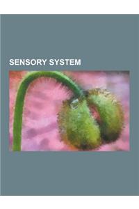 Sensory System
