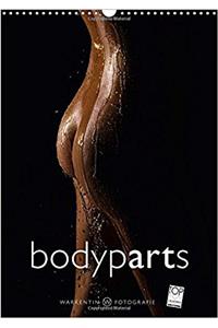 Bodyparts 2017