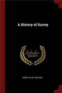 A History of Surrey