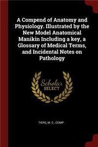 A Compend of Anatomy and Physiology. Illustrated by the New Model Anatomical Manikin Including a Key, a Glossary of Medical Terms, and Incidental Notes on Pathology