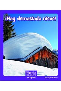 ¡Hay Demasiada Nieve!