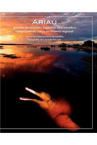 AriaÃº, Gerador de EmoÃ§Ãµes: Gerador de EmoÃ§Ãµes, Sugestivo, Direcionado E Comprometido Com O Sentimento Regional