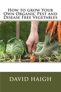 How to Grow Your Own Organic Pest and Disease Free Vegetables