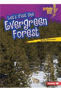Lets Visit the Evergreen Forest