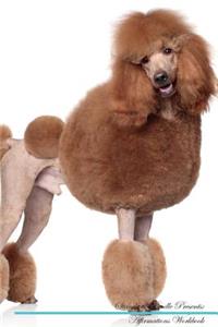 Standard Poodle Affirmations Workbook Standard Poodle Presents