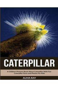 Caterpillar