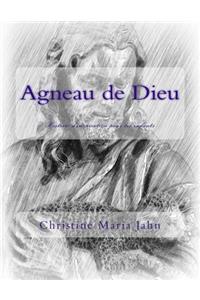 Agneau de Dieu: Histoire d'Inspiration Pour Les Enfants