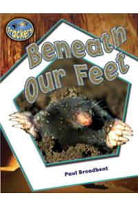 Beneath Our Feet