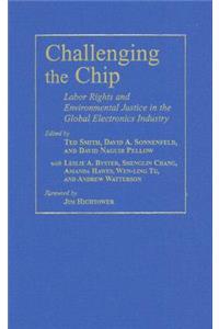 Challenging the Chip