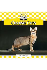 Chausie Cats