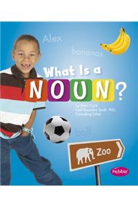What Is a Noun?