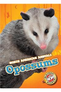 Opossums